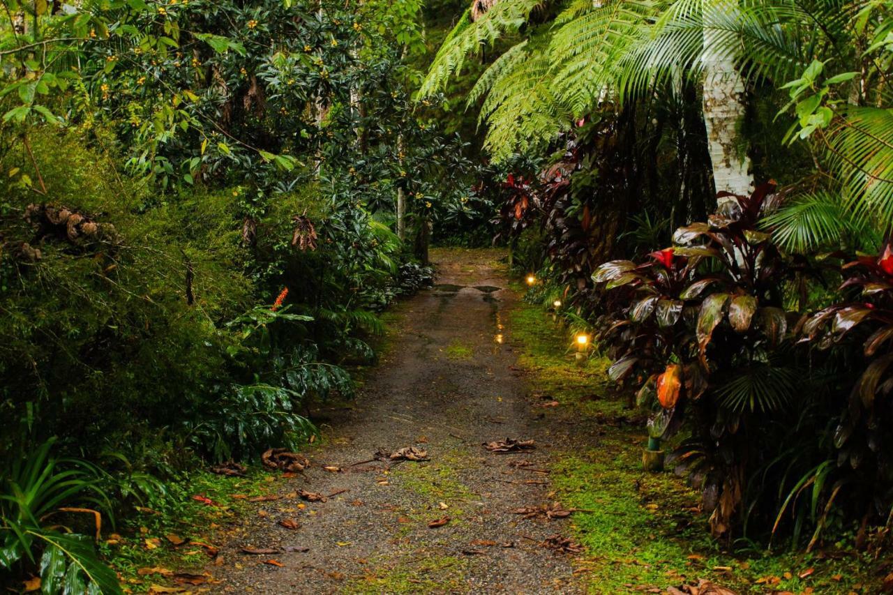 Quarto Varanda - Residencia Gaia Itatiaia Itatiaia  Buitenkant foto
